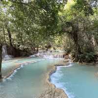 Christmas Magic in Luang Prabang 