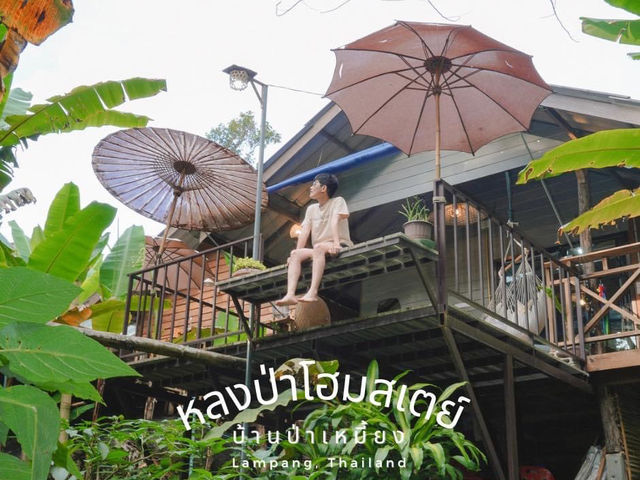 หลง-ป่าโฮมสเตย์ หลงใหลป่าเหมี้ยง ที่พักติดลำธาร 