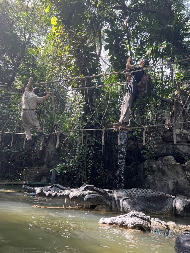 Safari World
