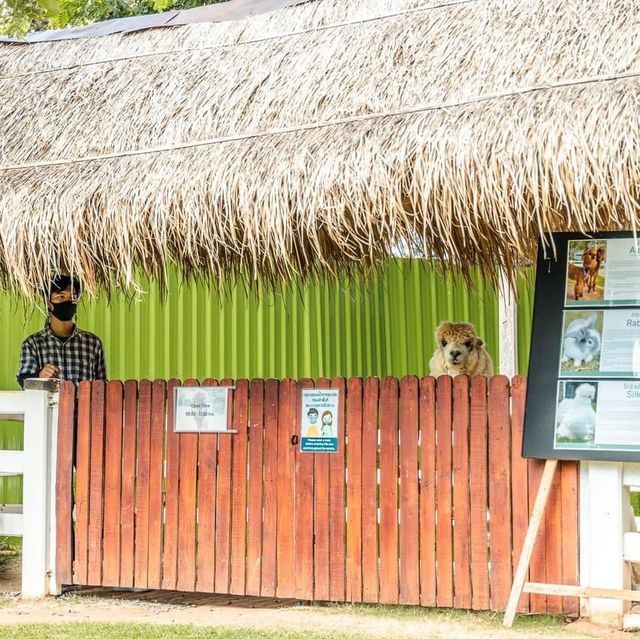 ที่พักเขาใหญ่ อากาศดี วิวภูเขาทุกห้อง