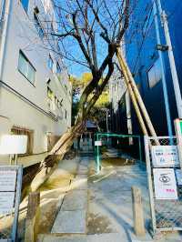 【東京都/富士浅間神社】かつての本郷の富士山を感じられる神社
