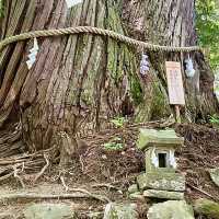 【長野県/火之御子社】芸能の神を祀る戸隠神社