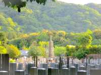 The Arashiyama Bamboo Forest