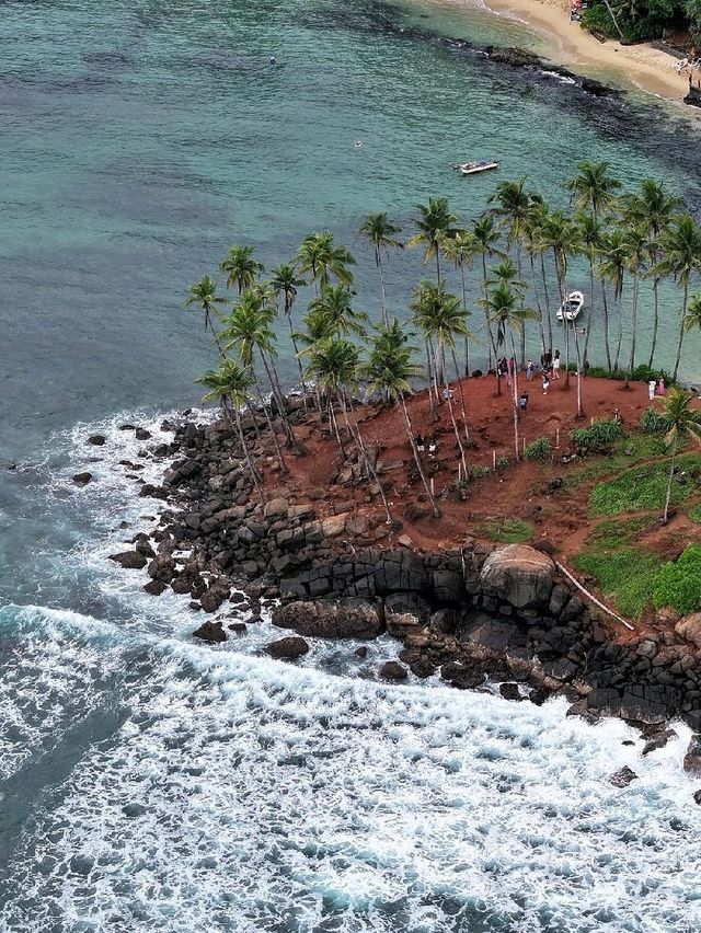 Coconut Tree Hill - Mirissa