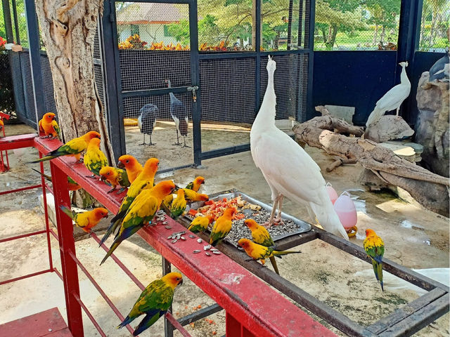 The field animal dream สวนสัตว์น่ารักใน จ.เพชรบุรี
