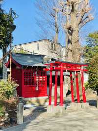 【東京都/稲付香取神社】旧稲付村鎮守・見晴らしの良い神社