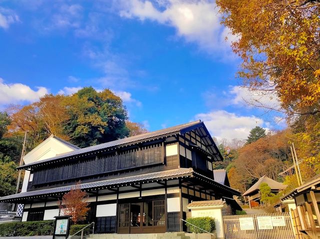 Ikuta Ryokuchi (Ikuta Greenspace)