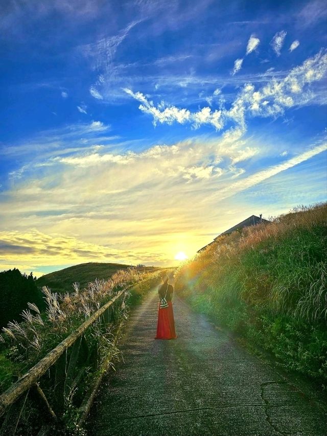 【和歌山/絶景】すすきと朝日🌄のコラボ🫧壮大な世界を1人占め✨秋はすすきが綺麗です‼️