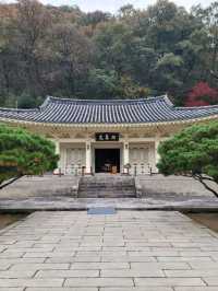 외국여행객들도 찾는 경남여행코스로 추천해요✨️
