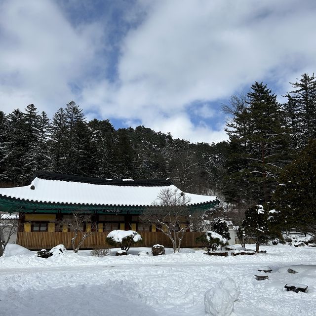 눈꽃 휘날리는 사찰여행, 월정사❄️