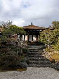 仁和寺の庭や池を眺めるていると、神社とは、また違う…寺院独特の荘厳な美しさを感じる