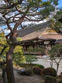 仁和寺の庭や池を眺めるていると、神社とは、また違う…寺院独特の荘厳な美しさを感じる
