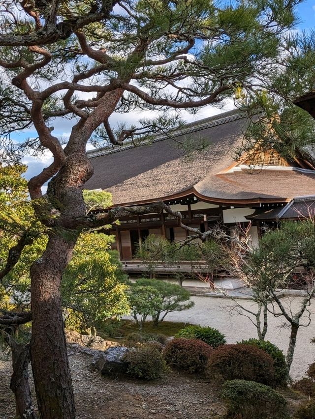 仁和寺の庭や池を眺めるていると、神社とは、また違う…寺院独特の荘厳な美しさを感じる