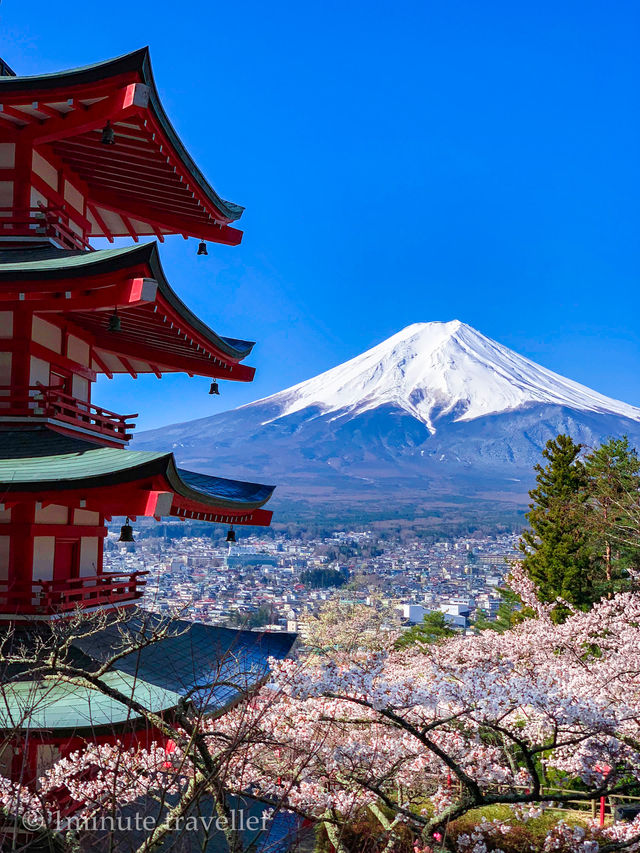超人気桜スポット、新倉山浅間公園でスムーズにお花見をするポイント 超人気桜スポット、新倉山浅間公園でスムーズにお花見をするポイント