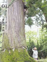 【兵庫・丹波篠山】関西から一番近い小京都へ✨