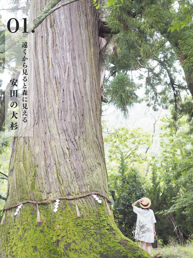 【兵庫・丹波篠山】関西から一番近い小京都へ✨