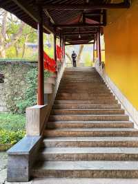 A thousand years old temple🎍🎍