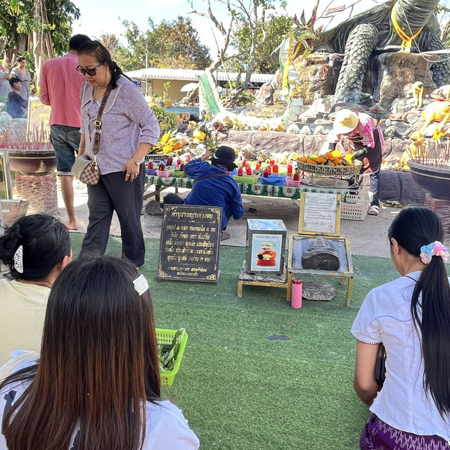 พญาเต่างอยสกลนครบ้านเฮา