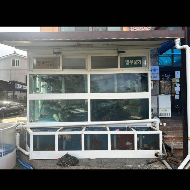 남해안 현지인 추천 횟집 <생선횟집>