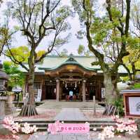 春の大阪旅行🌸都会の絶景の桜と『高津の宮』