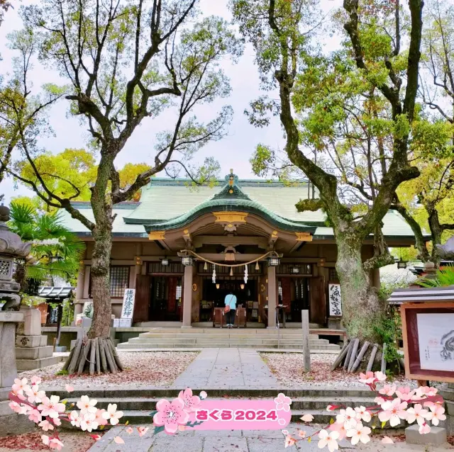 春の大阪旅行🌸都会の絶景の桜と『高津の宮』