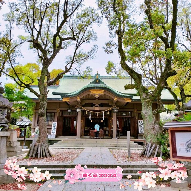 春の大阪旅行🌸都会の絶景の桜と『高津の宮』