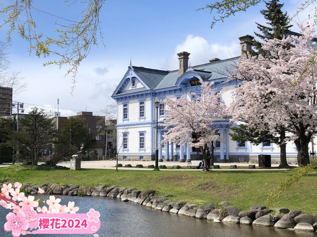 【札幌】中島公園：🌸櫻花盛開，春天舒適寧靜