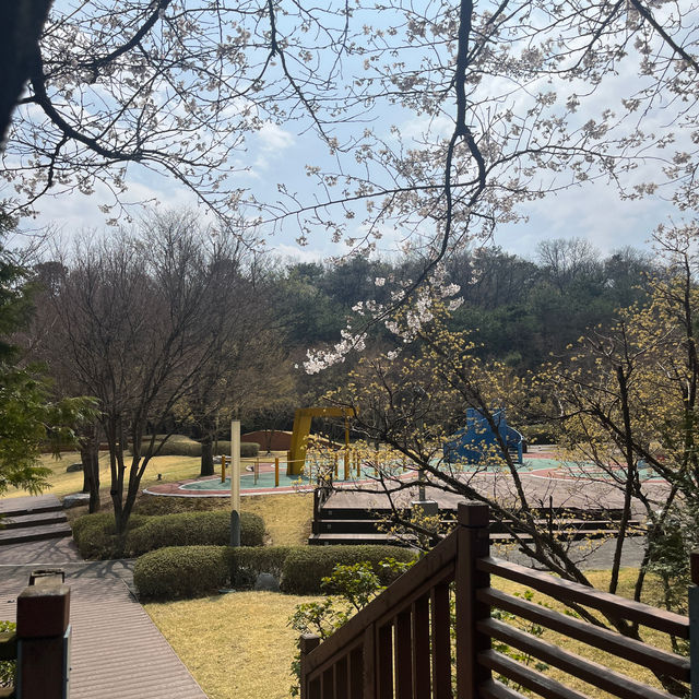 서울근교 여행! 경기도 벚꽃명소에 호캉스까지 힐링 여행 코스