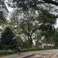 三巴旺公園：綠意盎然，感受新加坡城市綠化成就