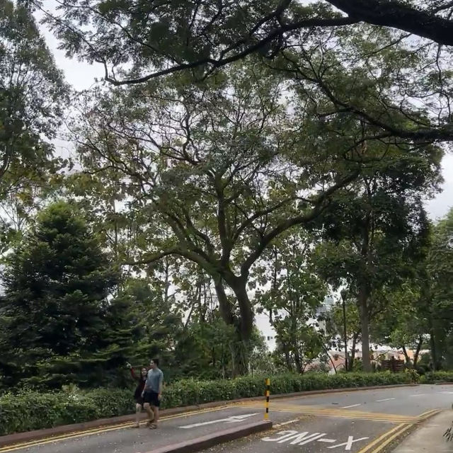 三巴旺公園：綠意盎然，感受新加坡城市綠化成就