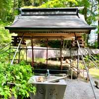【戸隠神社宝光社/長野県】270余段の先にある神社 