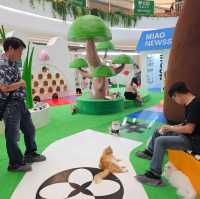 貓癡必去超能貓空間🐱🐈🐈‍⬛