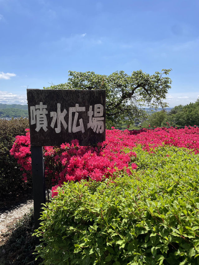 【織姫公園/栃木県】眺めよく、つつじ・藤が見られる