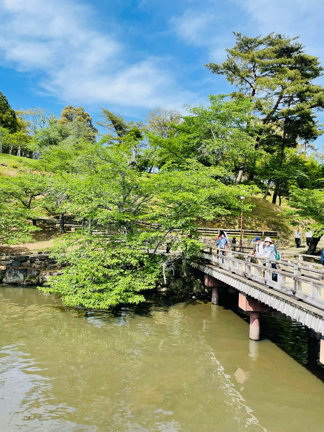【奈良県】水面に浮かぶ六角形の美しいお堂
