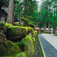篠慄恩山寺：千年歷史，感受悠久文化