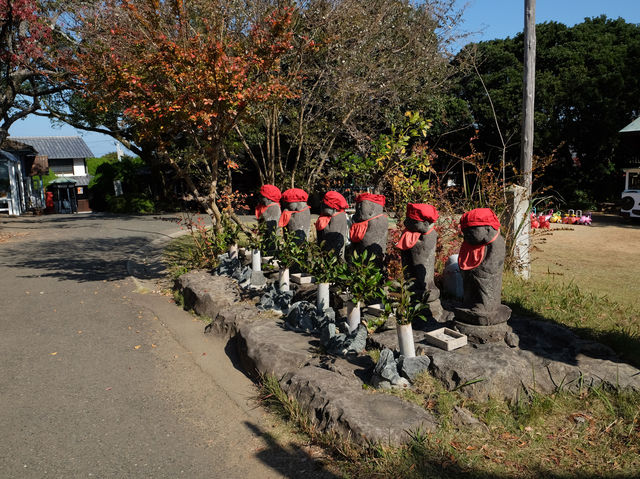 ［福岡忘憂聖地］能古島🏝️（1）：四季也有不同的花海，令人心曠神怡‼️