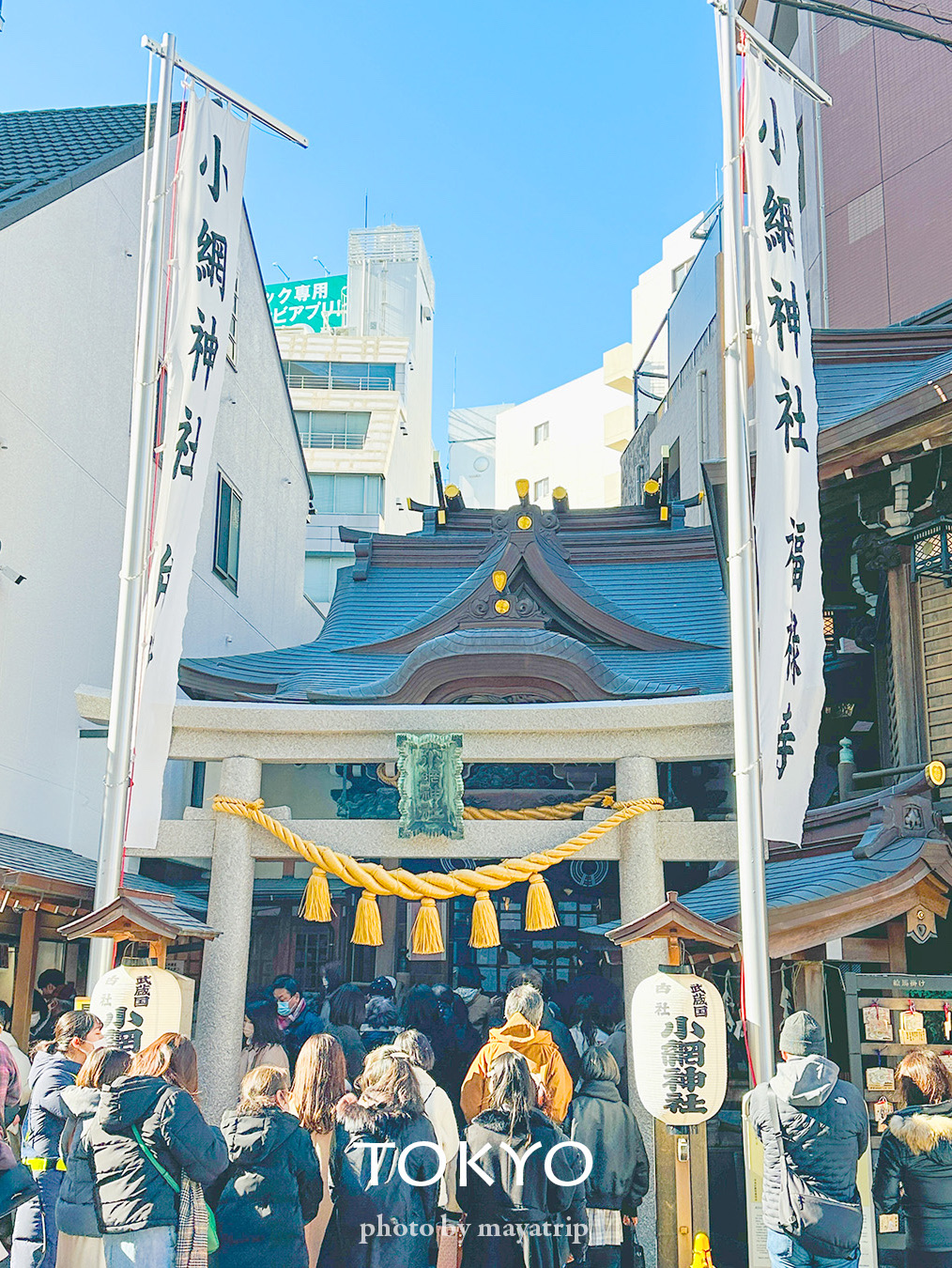 Amazon.co.jp: 旧正月 日本橋七福神巡り御朱印と小網神社御朱印