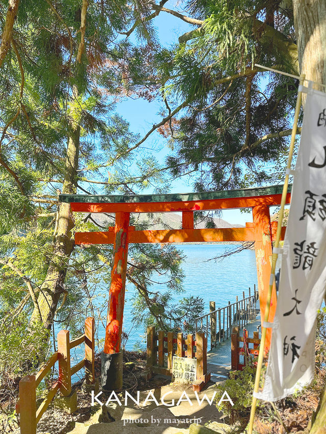 【神奈川/箱根】自然豊かな道を散歩していける九頭龍神社　本宮