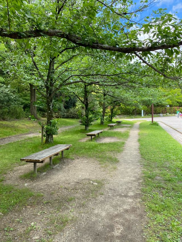 【京都】梅小路観光の拠点公園