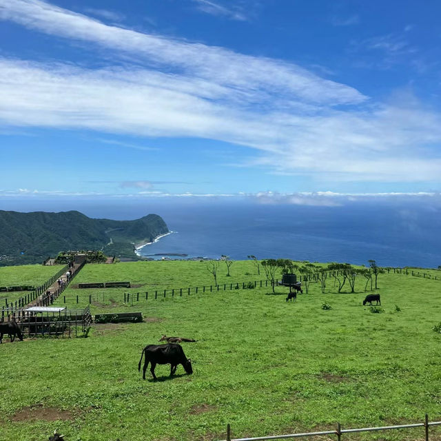 【福岡景點】玄界島：海岸線壯麗