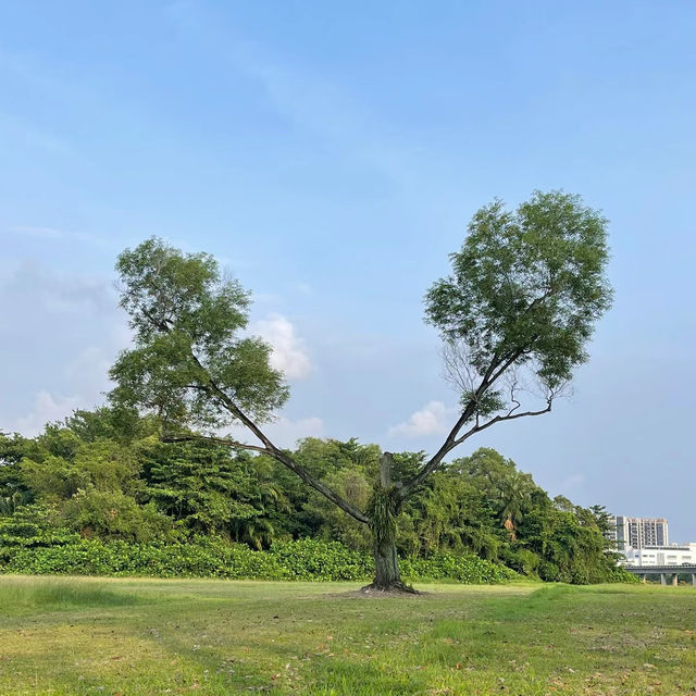 【曼谷景點】和平公園：靜謐桃源