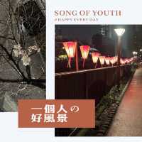 目黑川賞夜櫻🥰