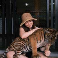 YOU MUST VISIT SAFARI PARK KANCHANABURI 