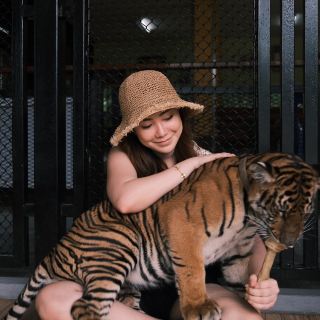 SAFARI PARK KANCHANABURI에 꼭 방문해야 합니다