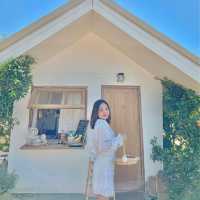 JINJU the orange farm