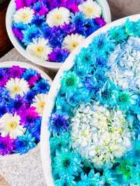 【紫陽花に変化‼️花手水で有名の法輪寺】