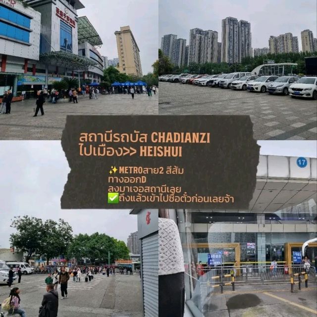 Dagu Glacier🇨🇳 ❄️🌨️หิมะฉ่ำเหมือนยุโรป