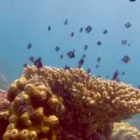 Paradise Found: Perhentian Island Adventure