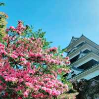 【愛媛県】大洲城