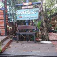 ชาวเลโฮมสเตย์@ปากพนัง และ Cafe ในป่า